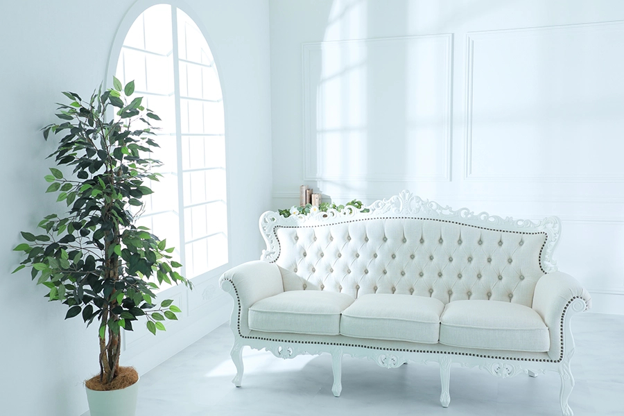 アクセスイメージ